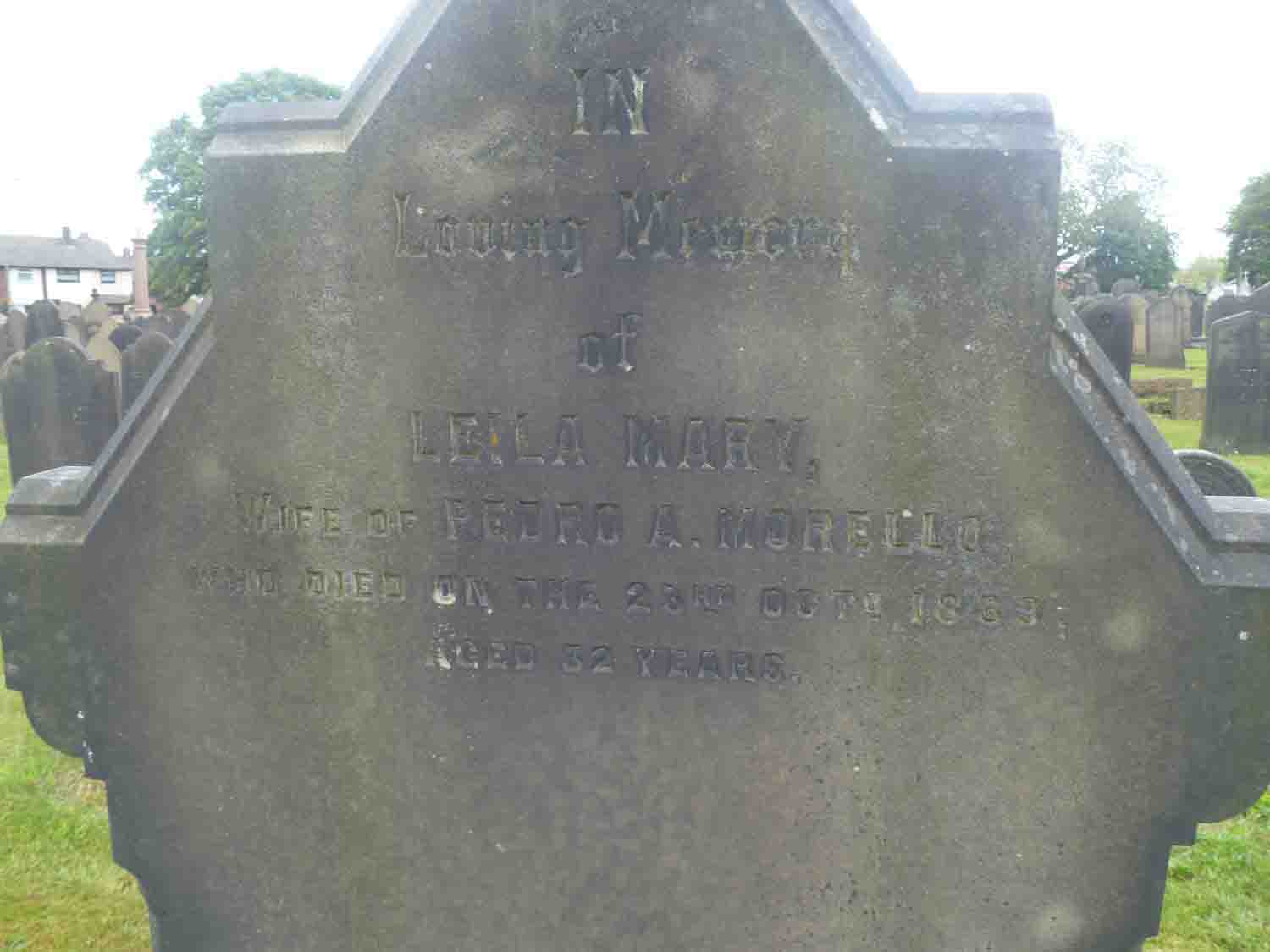 Morello, Leila Mary (H Left 829) (2)